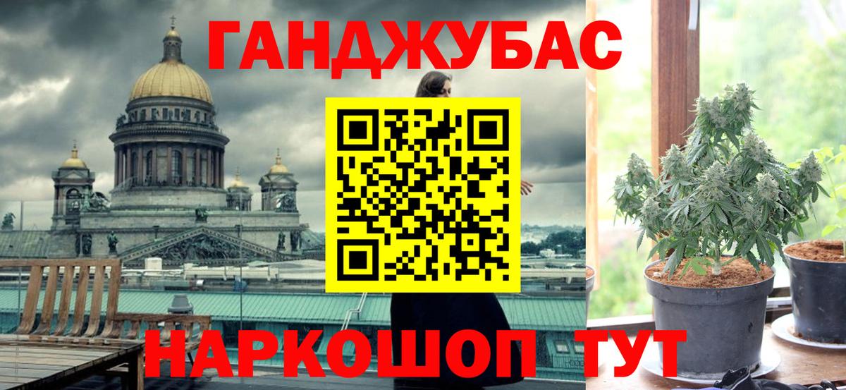 Бошки Шишки конопля  Конопля марихуана  Конопля семена  Вход с VPN  Бахчисарай 